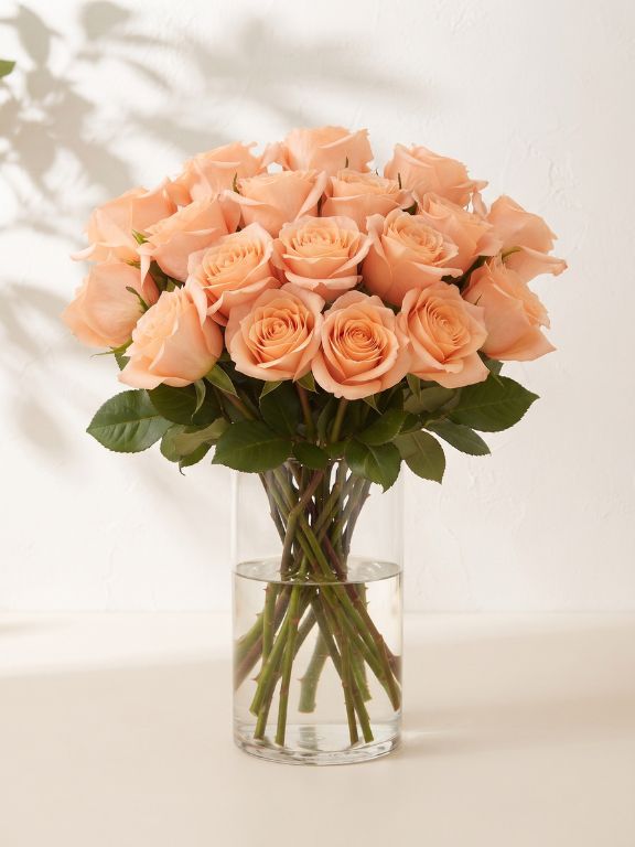  PEACH ROSES